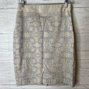 🌈 limited patterned pencil skirt